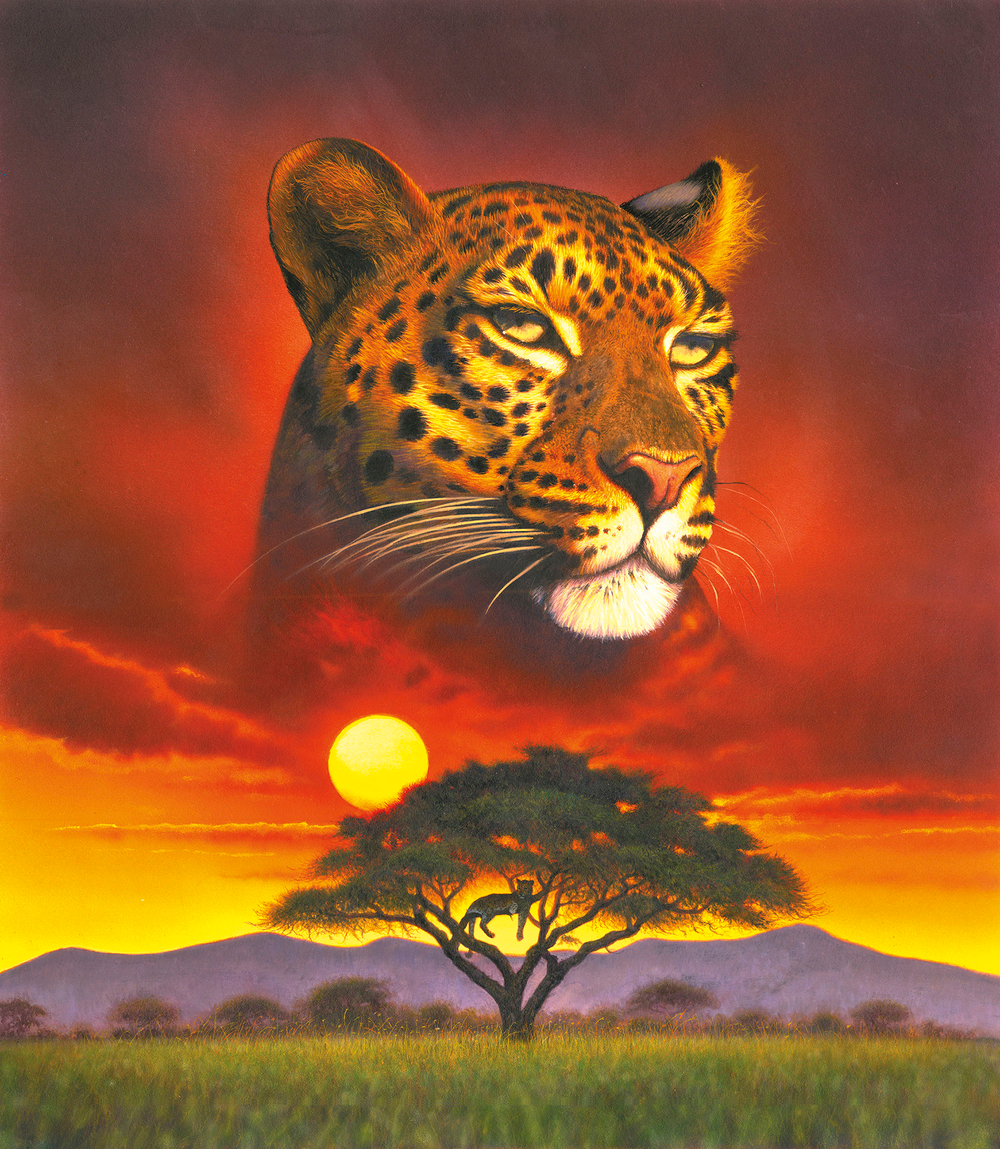 Коллекция Животные