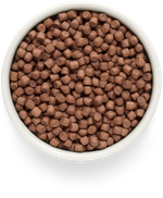 PREMIER Свежее мясо ягненка с индейкой для взрослых собак мелких пород