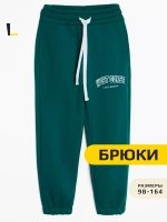 Спортивные штаны для мальчика для школы