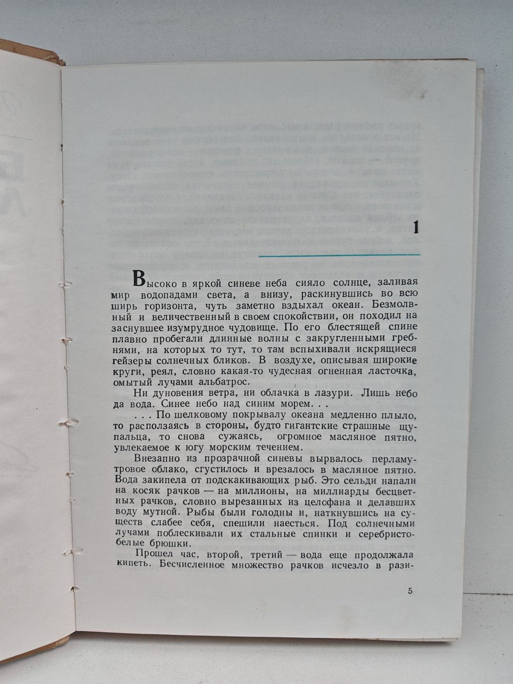 Белый лоцман