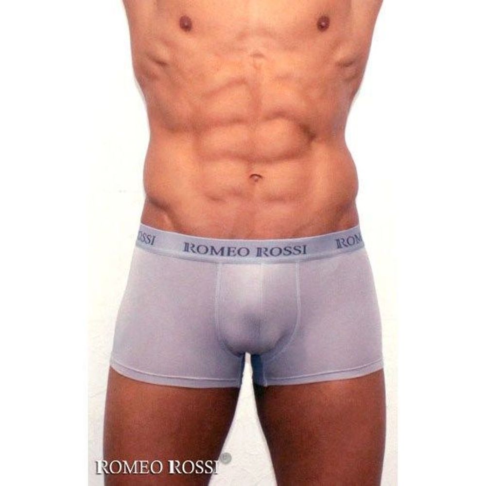 Мужские трусы боксеры c резинкой Romeo Rossi светло-серые RR6005-03