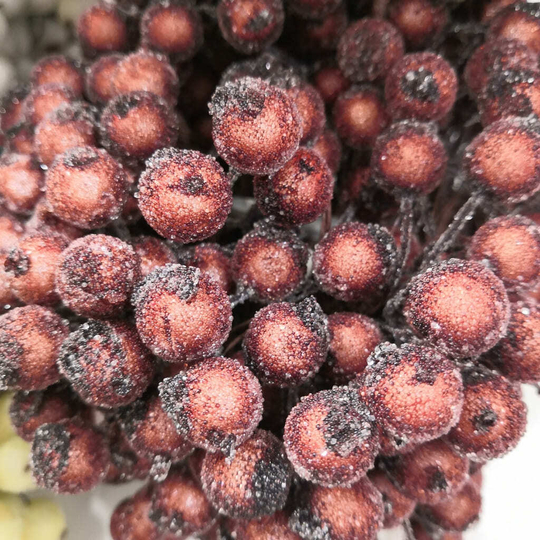 Ягоды в сахаре на проволоке (Коричневые)