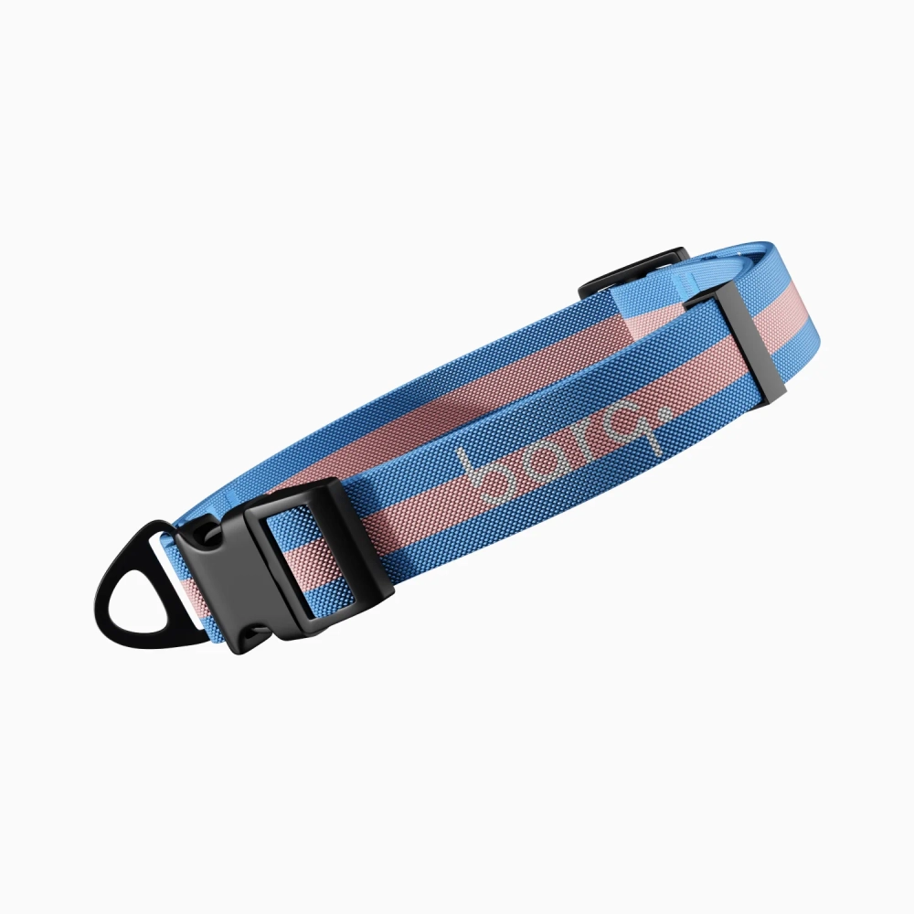 Ошейник Stripes