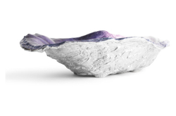 Чаша 42см Michael Aram Коралловый риф