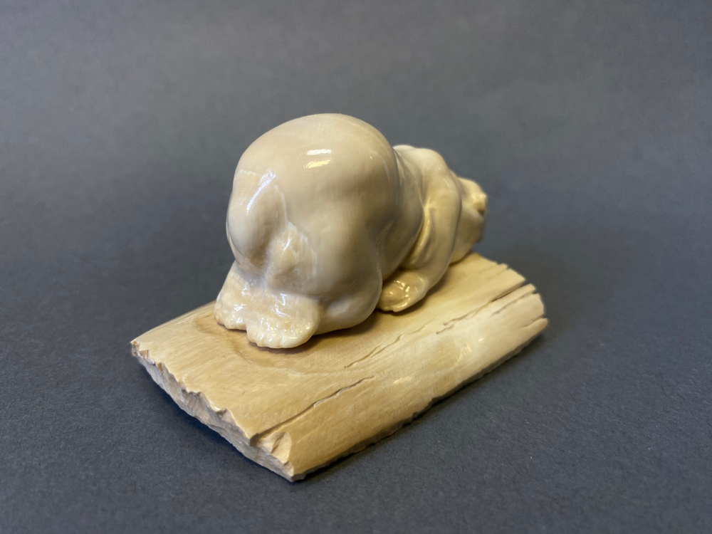 Кайф (медведь)