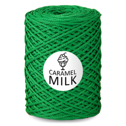 Шнур Caramel Milk, 3мм, 300м, 100% полиэфир (1 шт.)