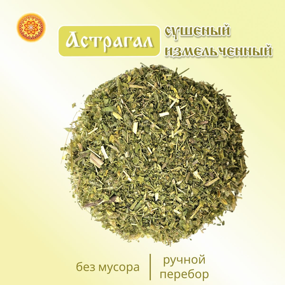 Астрагал шерстистоцветковый измельченный.