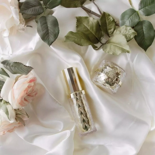 CHANSON COSMETICS Питательный ночной крем для лица Шансон Косметикс Лё Там-Le Temps Cream. 30 г