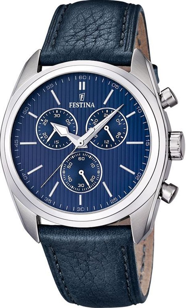 Мужские наручные часы Festina F16779/3