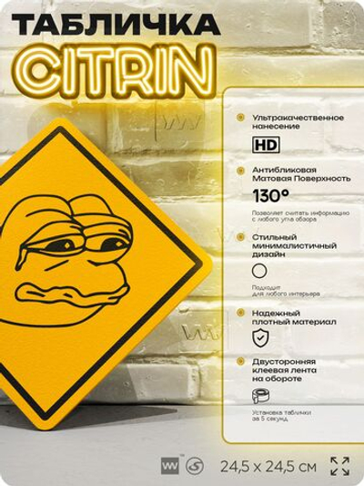 Табличка мем "Пепе" шуточная прикольная табличка на дверь и стену, для офиса и дома, декоративный знак, 24,5х24,5 см, пластиковая, Айдентика Технолоджи