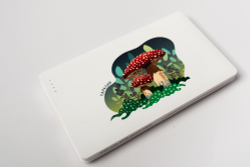 Внешний аккумулятор (powerbank) «Карелия», в ассортименте