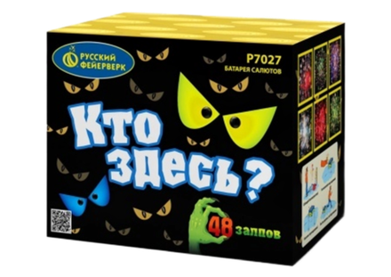 Батарея салютов РФ Кто здесь? 48 залпов калибром 0.7" высотой 25 метров
