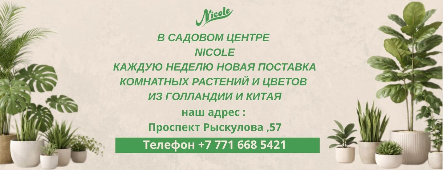 Садовый центр Nicole 