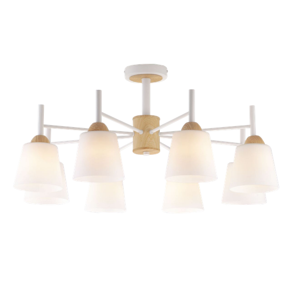 Потолочная люстра Eurosvet 70085/8 белый