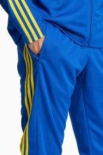 Штаны adidas Squadra 25 Training - синий