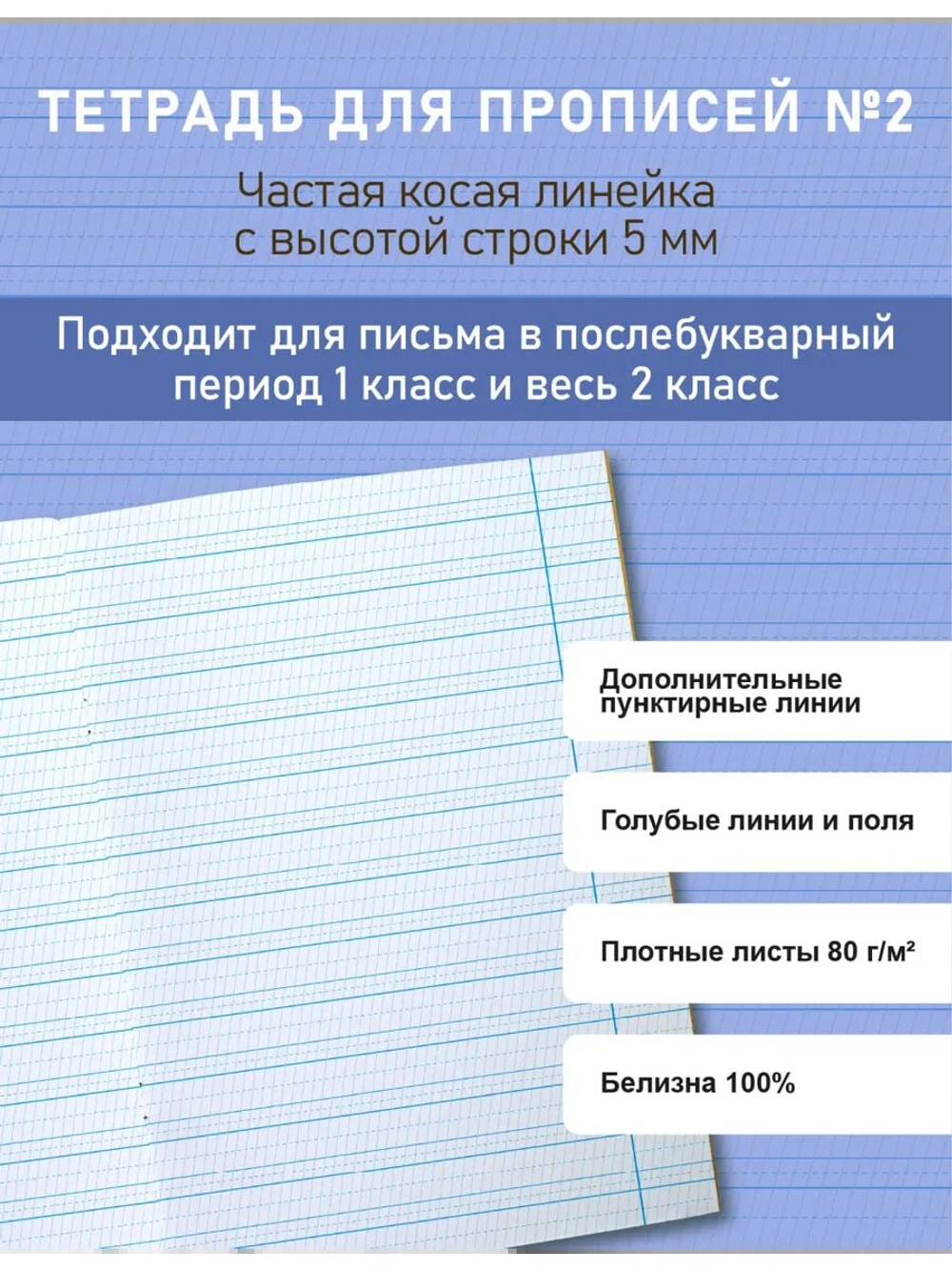 Набор тетрадей для прописей МИКС, 12 шт
