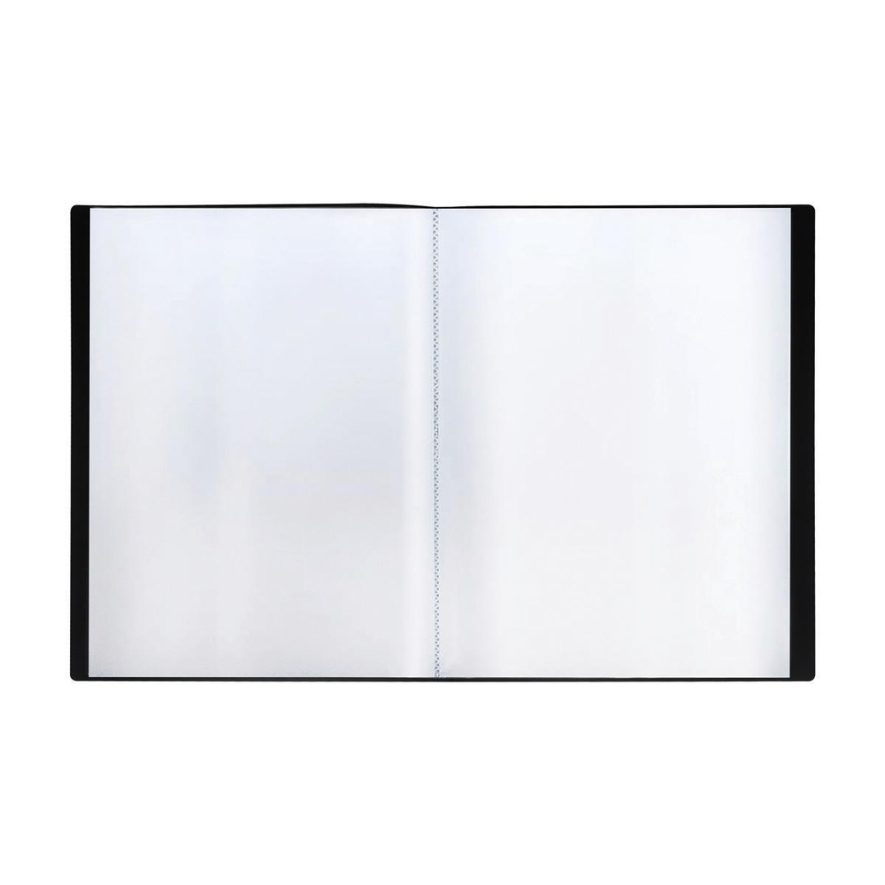 Папка А4 с 10 вкладышами 9мм, 500мкм, пластик, черная (Стамм)