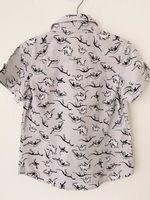 Рубашка Dan Maralex, 116