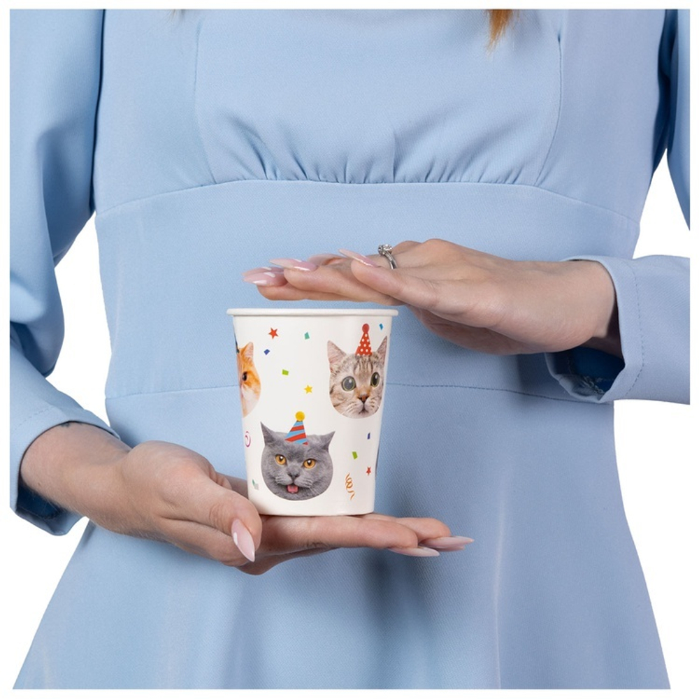Стаканы бумажные «Котики» фотографичные, 250 мл, 6 шт