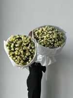 Букет моно из кустовых роз 25 шт в светло-желтом оттенке