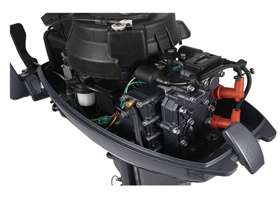 2х-тактный лодочный мотор ALLFA CG T30 FWS