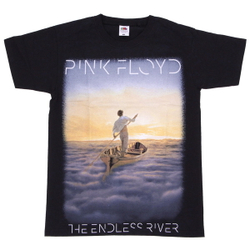 Футболка Pink Floyd The Endless River