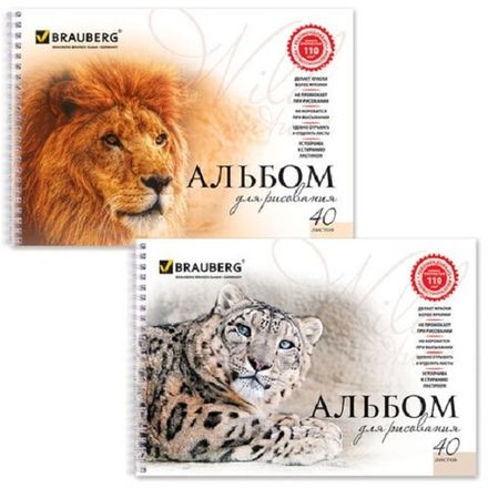 Альбом для рисования 40л, А4, Brauberg Благородные кошки, на гребне, обл. картон