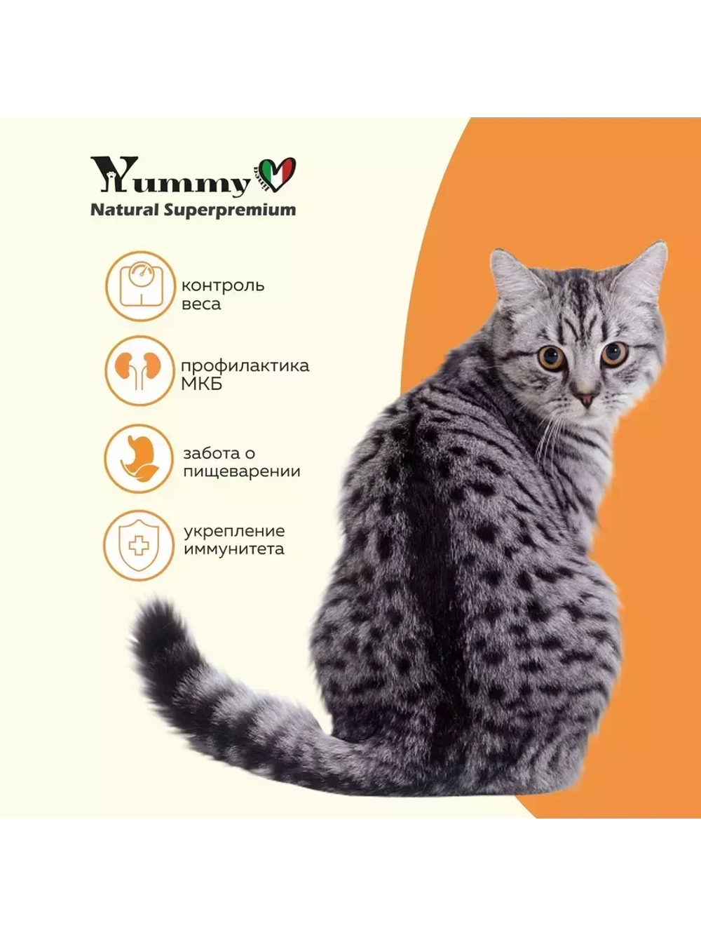 Влажный корм для кошек всех пород, индейка и овощи 12х100гр
