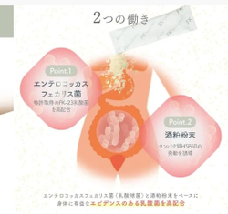 DEMARRER FK+ Probiotics Inner Care - комплексный пробиотический нутрицевтик для поддержки здоровья и внутреннего баланса, 60 саше