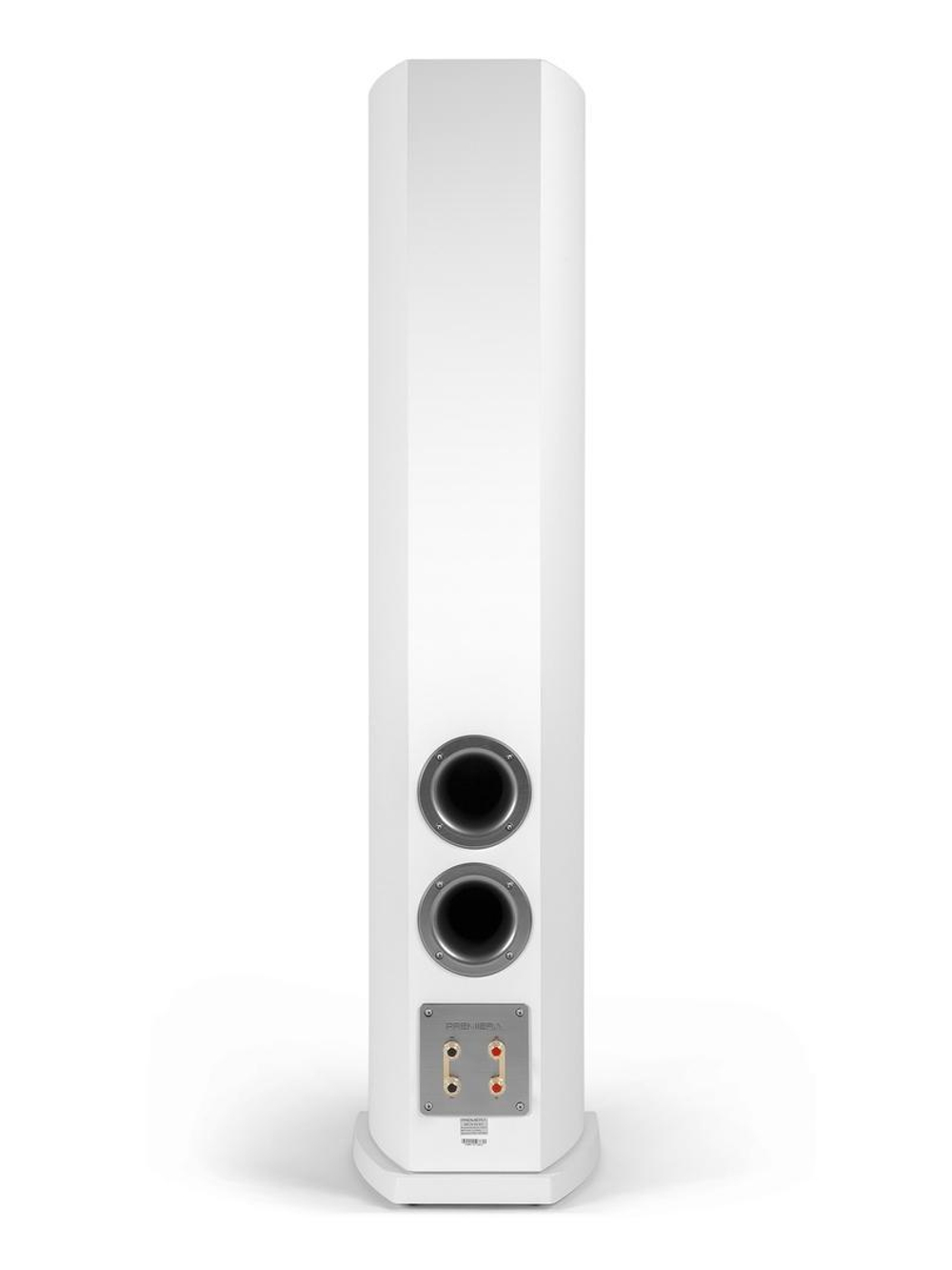 PREMIERA DS-631 WT напольная акустическая система (пара