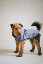 Попона "Пони-попони" темно-серая