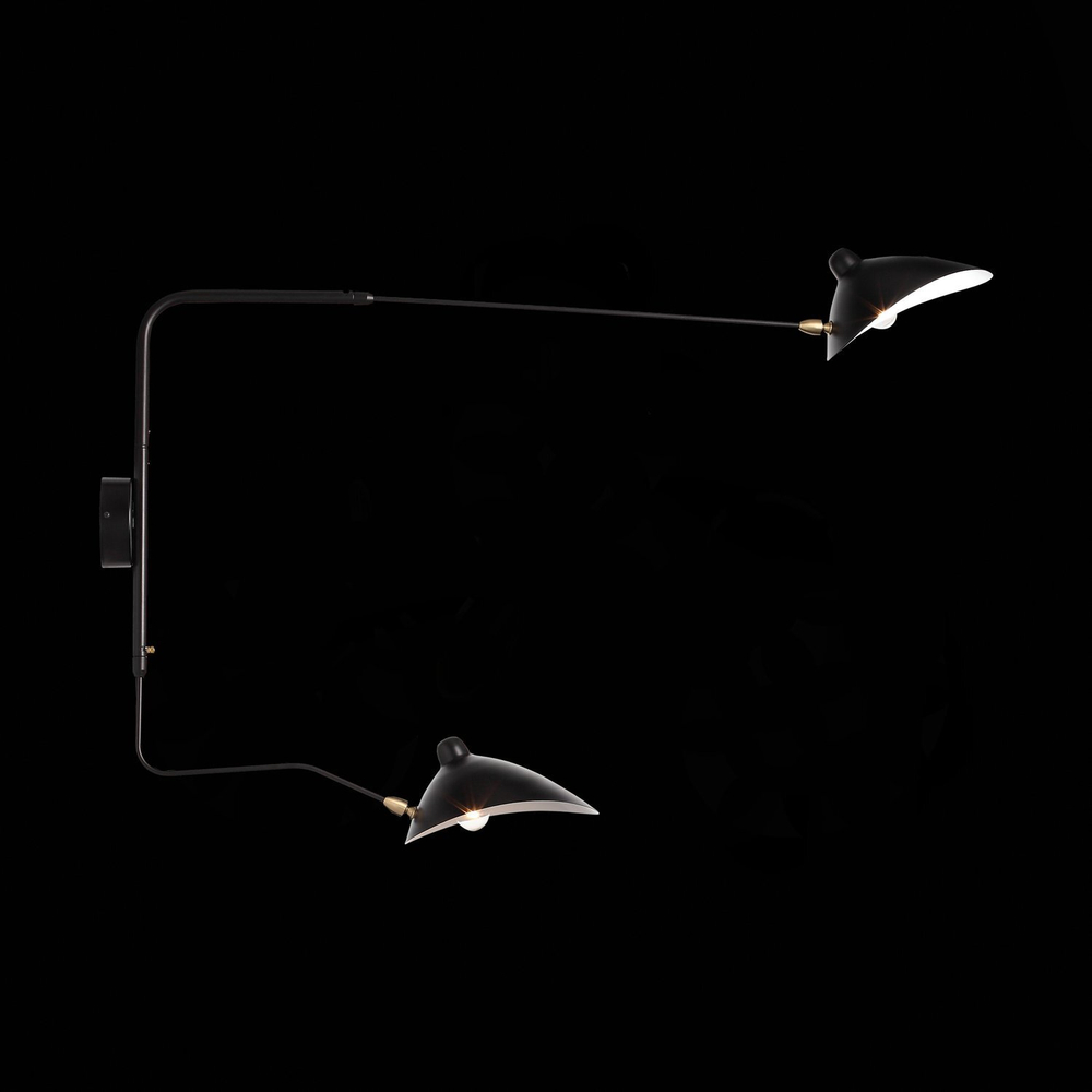 Светильник настенный ST Luce Spruzzo SL305.401.02