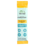 Terra Origin, Healthy Hydration +, чай со льдом из половины и половины лимонада, 30 пакетиков по 5,4 г (0,19 унции)