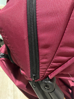 Коляска детская прогулочная Farfello Comfy Go Cherry/ Вишня