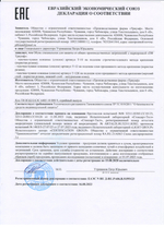 Обувь специальная защитная от ОПЗ Тапочки-Чувяки арт. Т-12