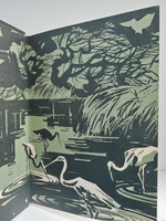 По тигровому следу