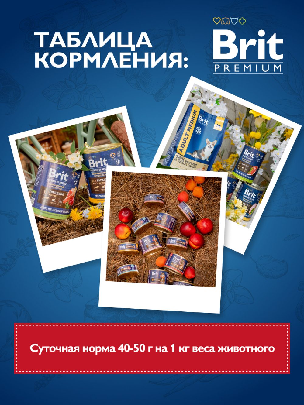 Консервы BRIT PREMIUM BY NATURE dog говядина для взрослых собак всех пород 6х410г
