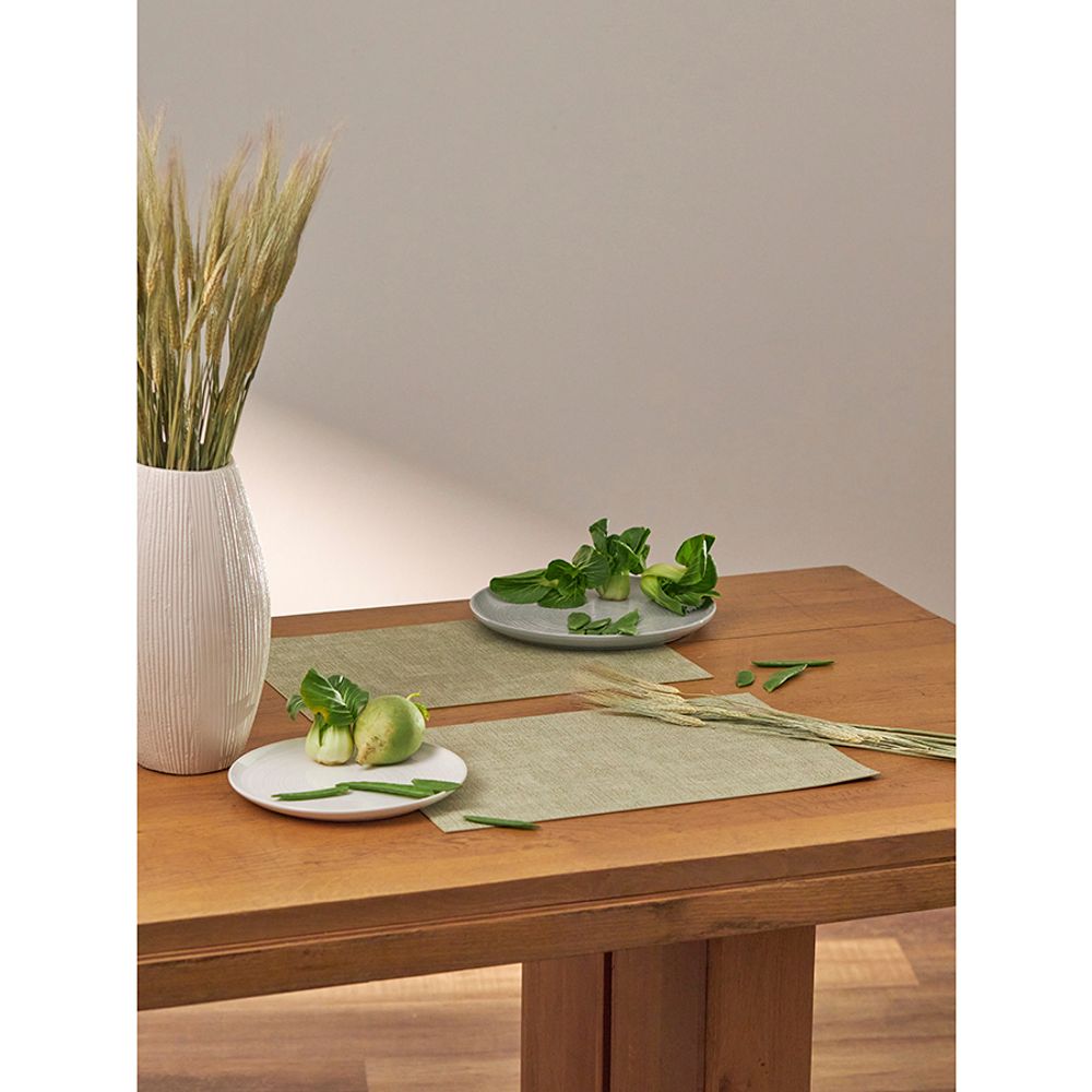 Набор из 4-х сервировочных салфеток Leanera, 30х45 см, мятные