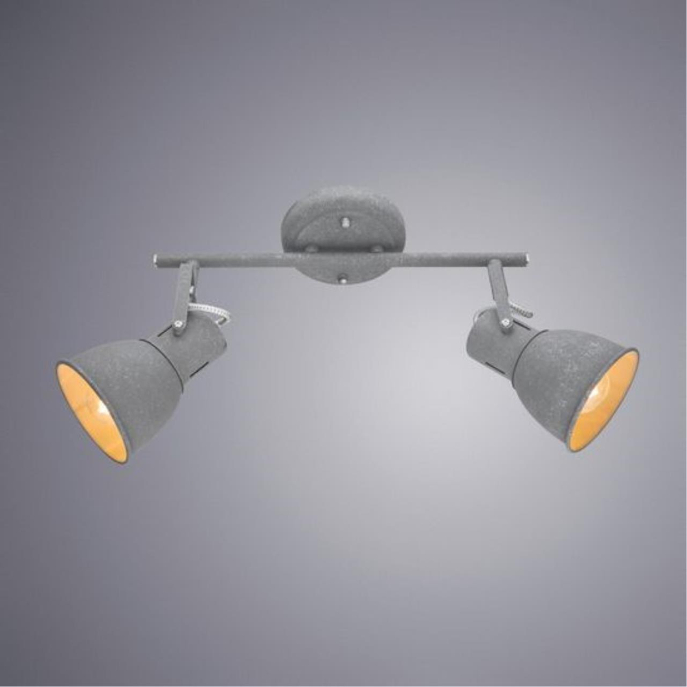 Потолочный светильник Arte Lamp JOVI A1677PL-2GY