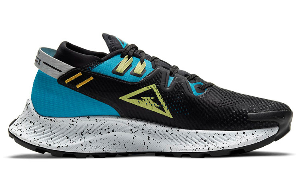 Кроссовки Nike Pegasus Trail 2 (Женская размерная сетка)