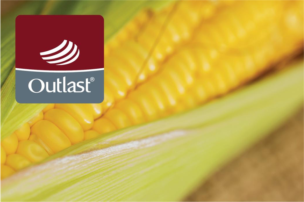 Одеяло всесезонное 200х220 Hefel Outlast®&Maize