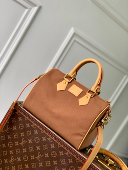 Louis Vuitton Speedy 25