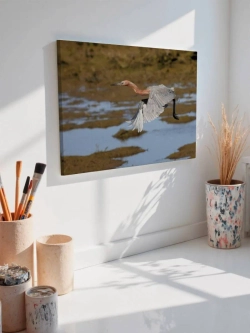 Картина на стену 40 X 50 Птица