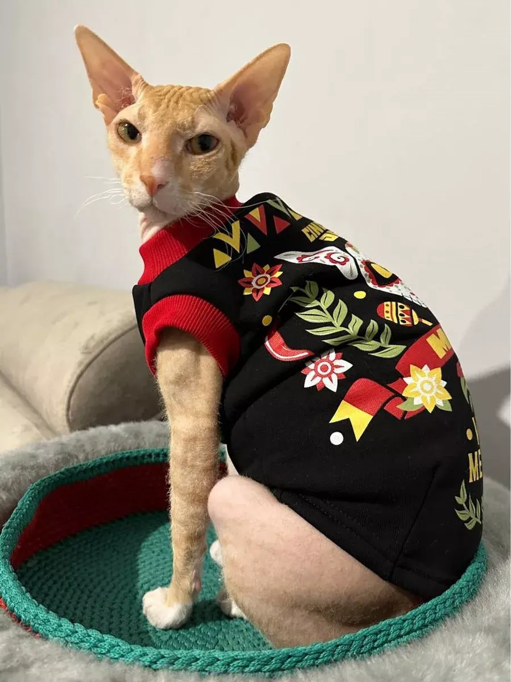 Одежда для кошек сфинкс и собак мелких пород