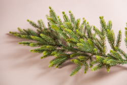 Ель TreeDeLuxe Королевская 100% литая 230см зеленая