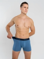 Трусы A1710-ДЖ