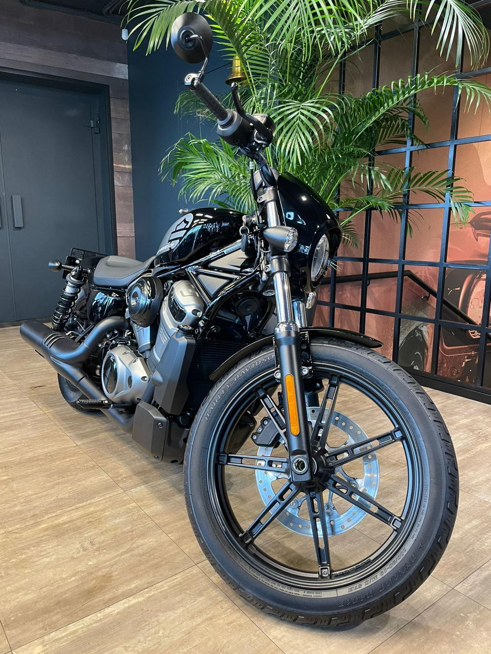 Nightster 975 Harley-Davidson "BLACK" 2022