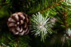 Ель Императрица с шишками 260см заснеженная Triumph Tree