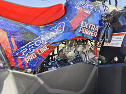 Квадроцикл PROMAX WILD 175 BASIC