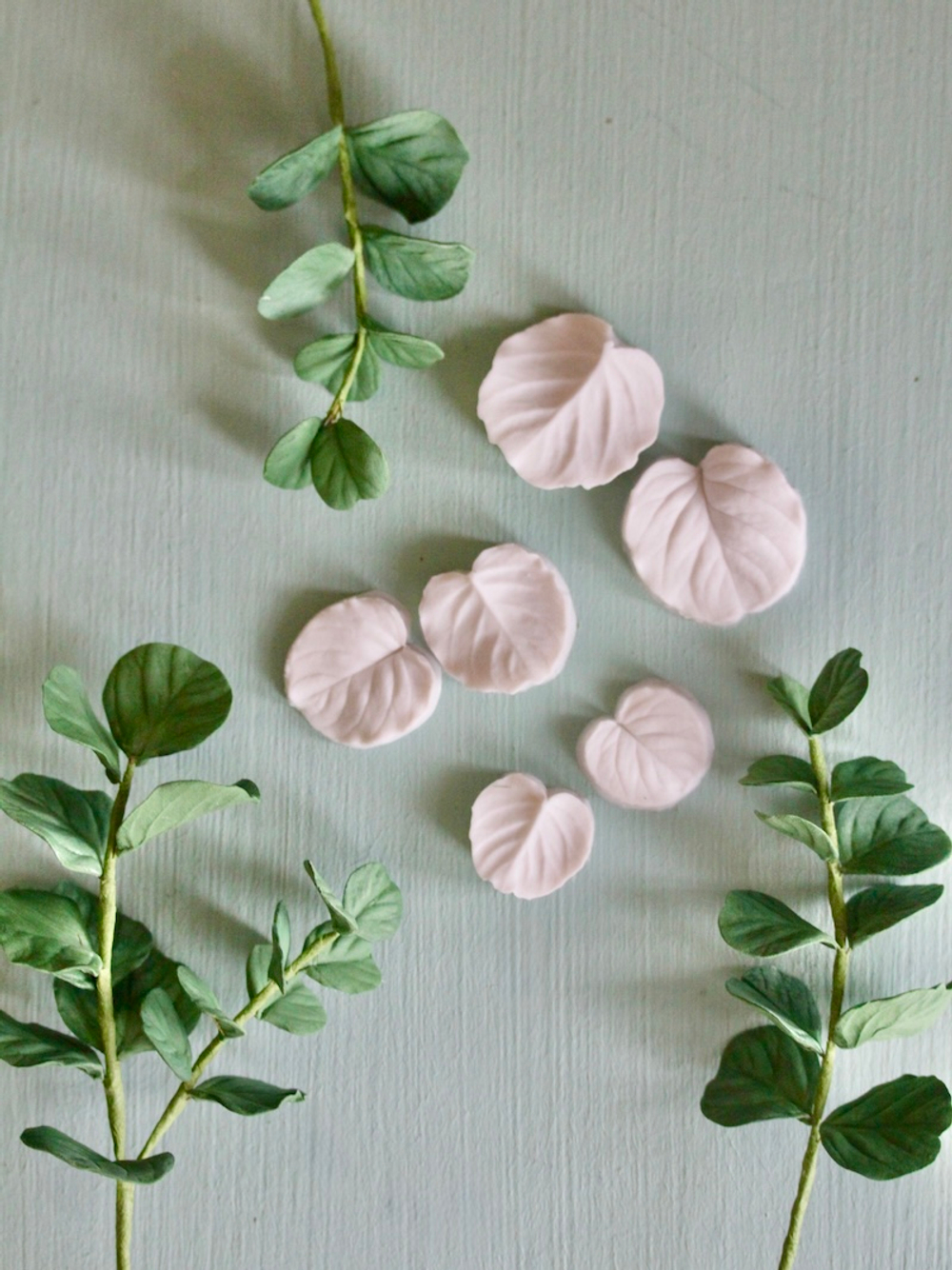 Набор вайнеров для лепки листьев эвкалипта Coprussia